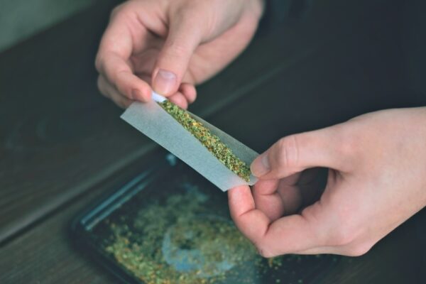 Man dependent on marijuana rolling a joint of weed