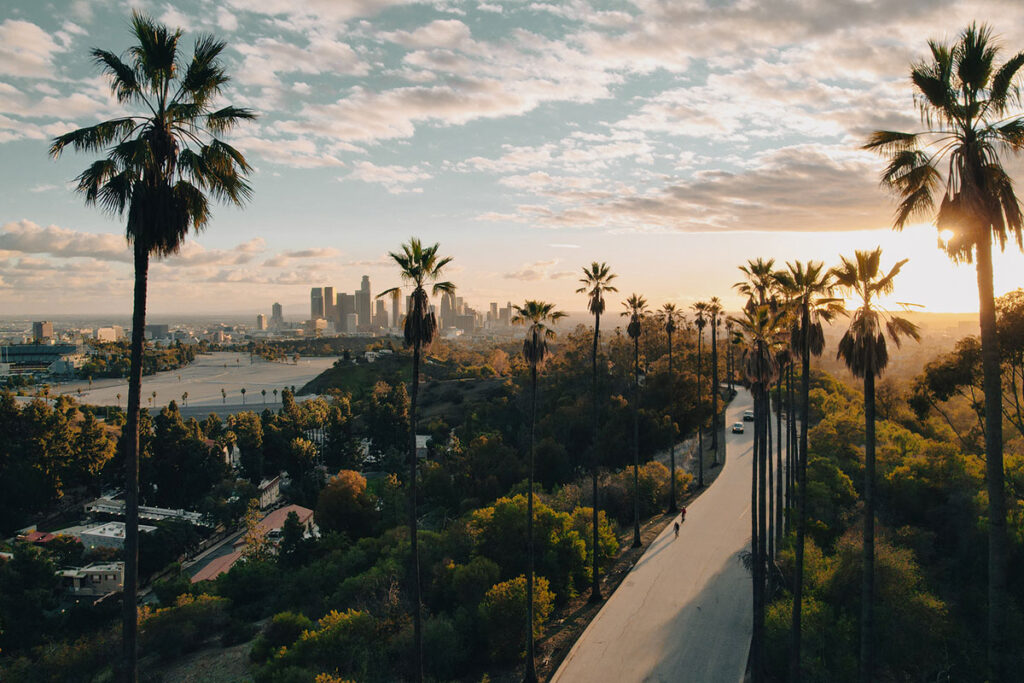 Palm Tree-Lined Street Overlooking Los Angeles at Sunset.