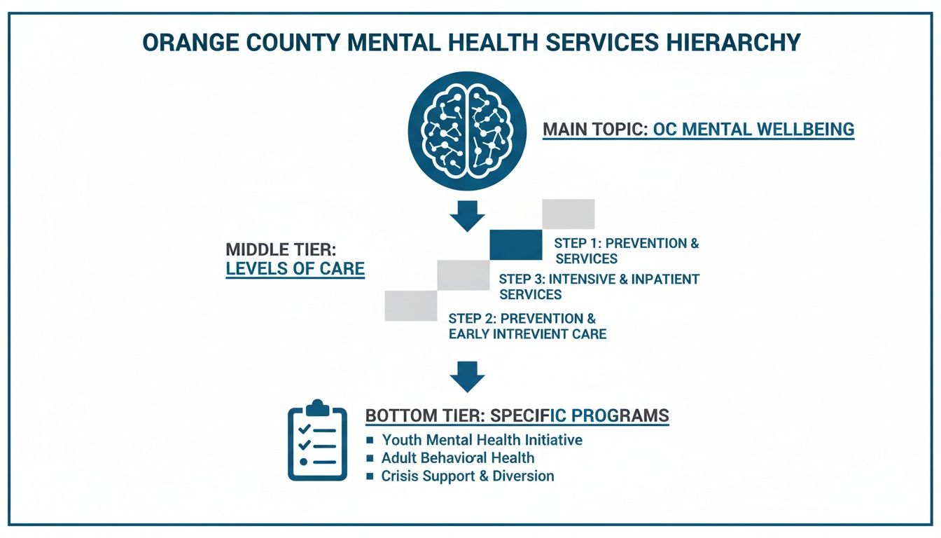 A hierarchical chart detailing Orange County Mental Health Services, from main topic to specific programs.