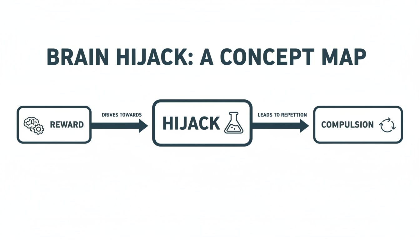 Concept map illustrating the 'Brain Hijack' process: Reward drives towards hijack, which leads to repetition and compulsion.