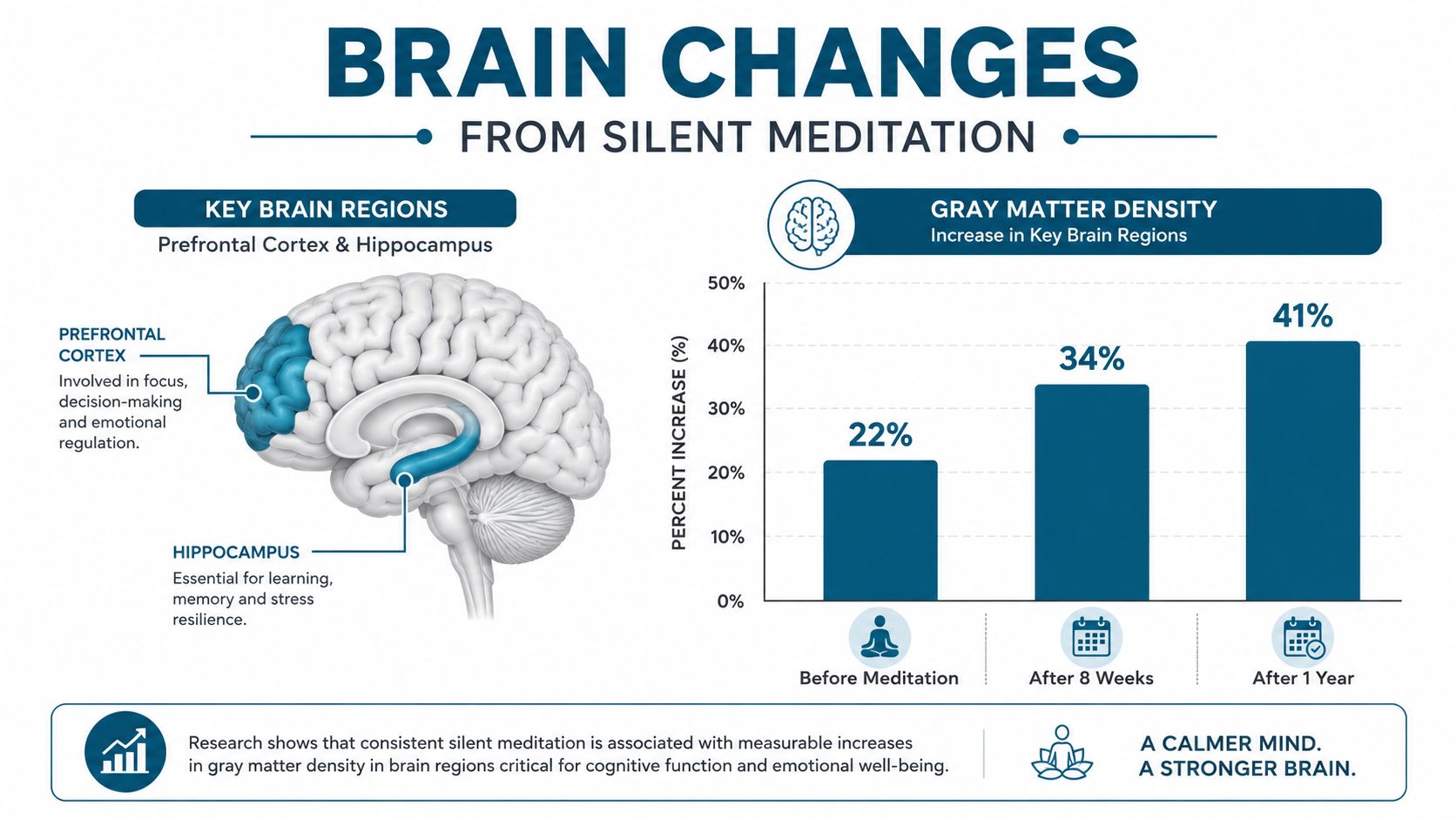 An infographic showing brain changes from silent meditation, highlighting increased gray matter density over time.