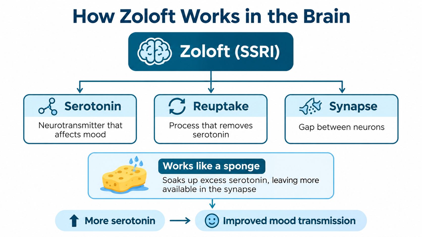 A diagram illustrating how Zoloft works as an SSRI by increasing serotonin levels in the brain synapse.